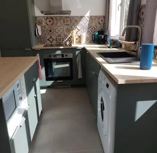 L'aigrette Moderne, Ensoleille Et Bien Place *