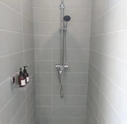 L'aigrette Moderne, Ensoleille Et Bien Place *